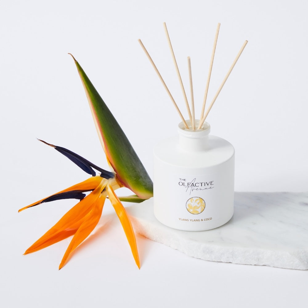 YLANG YLANG & COCO Raumduft – stilvoller Raumduft für eine konstante Duftwirkung