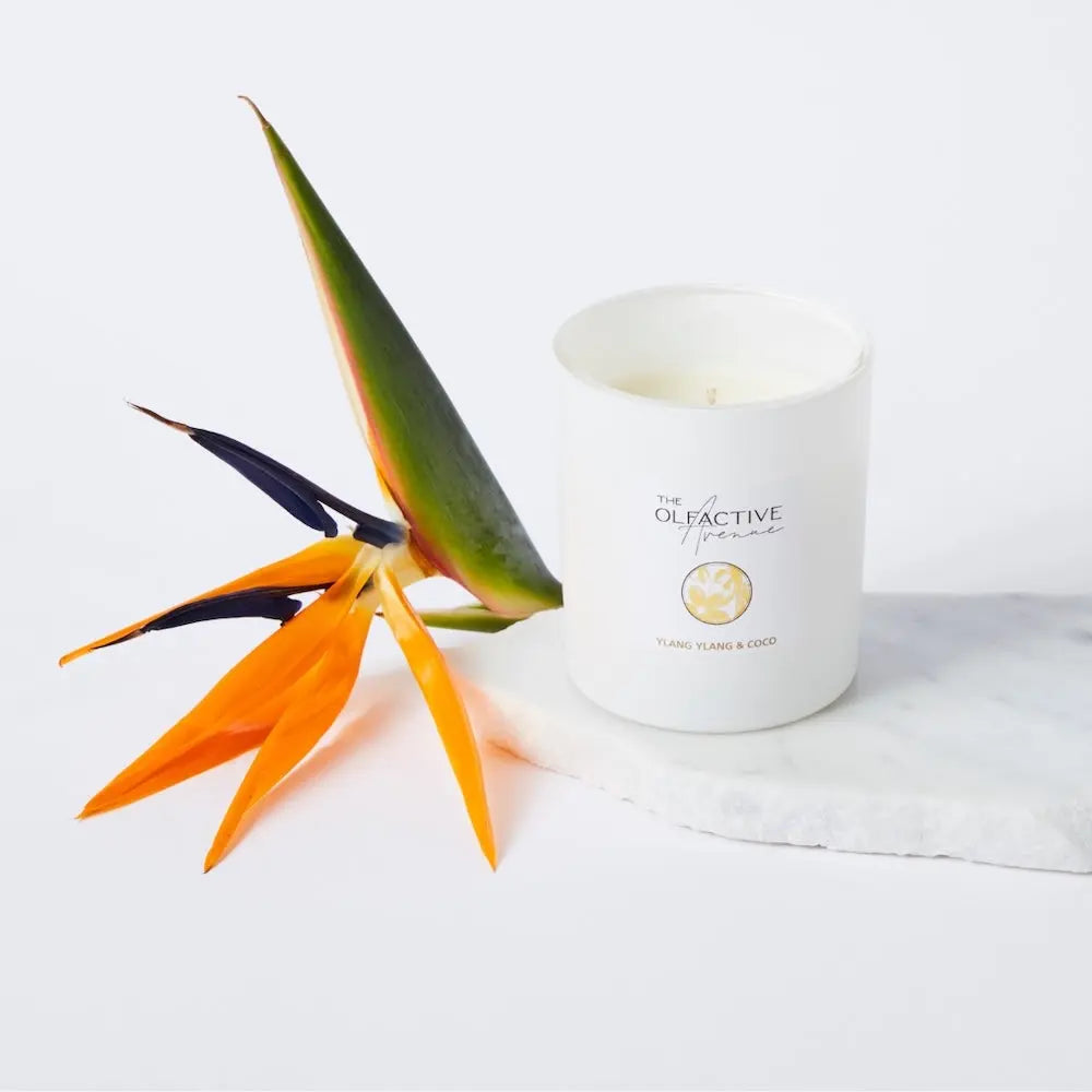 YLANG YLANG & COCO Duftkerze – minimalistische hochwertige Duftkerze im Glas