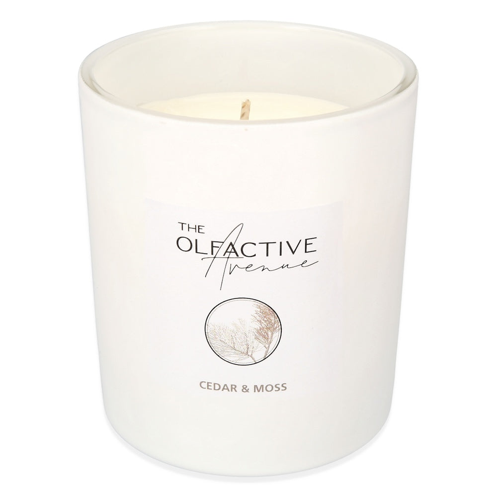 CEDAR & MOSS Duftkerze – minimalistische Duftkerze für dein achtsames Zuhause