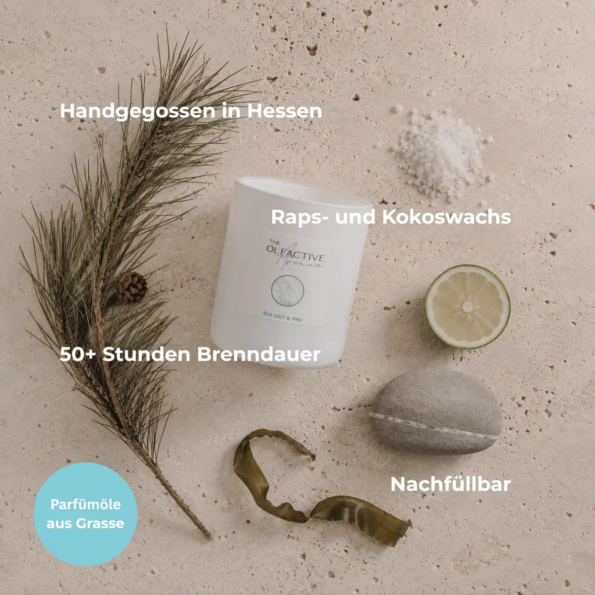 Duftkerze Sea Salt & Pine mit Kiefernzweig und Meersalz – handgegossen in Hessen, 50+ Stunden Brenndauer, nachfüllbar [KI]