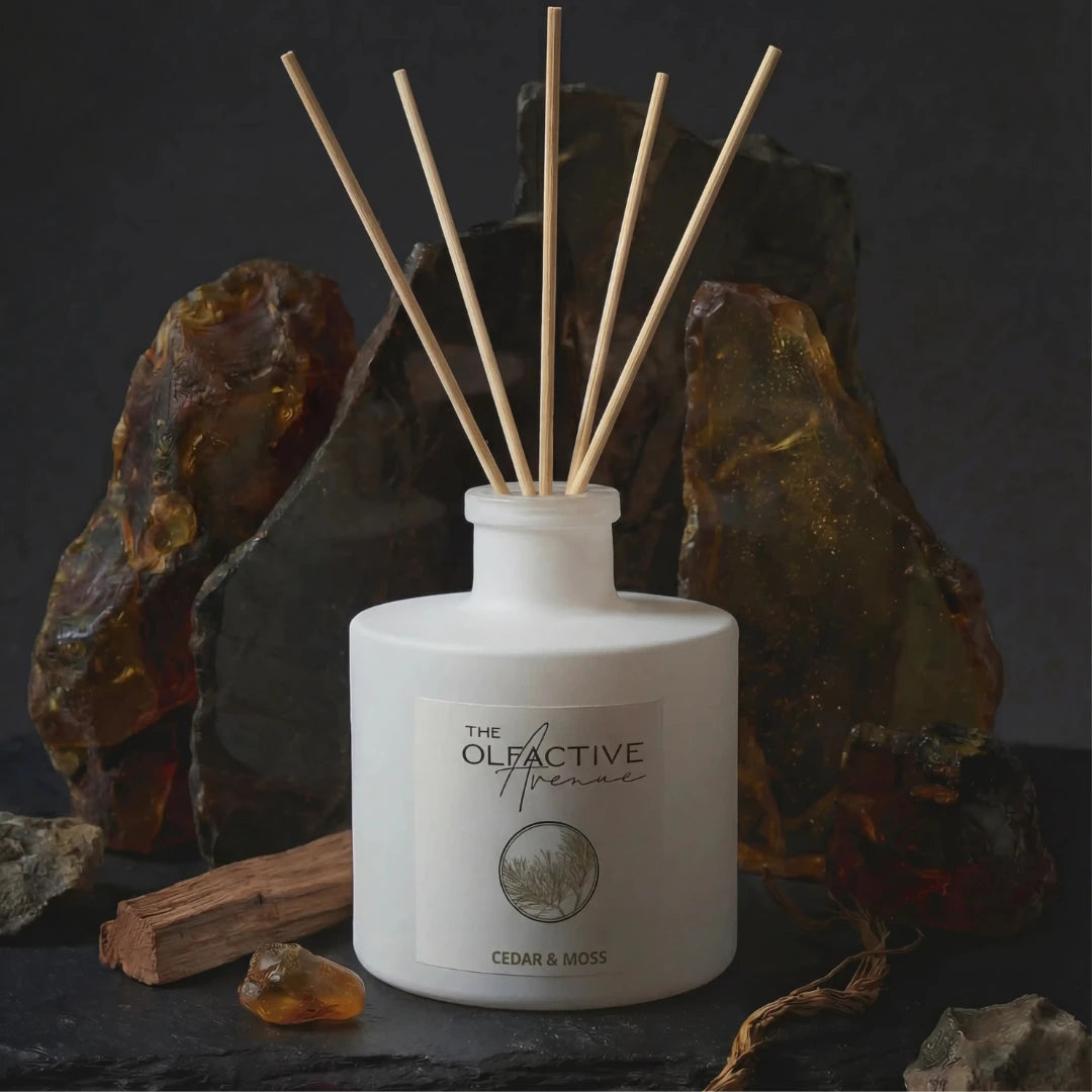 Exklusiver Stäbchen-Diffuser Cedar & Moss vor dunklem Naturstein-Hintergrund für luxuriöses Wohnambiente.