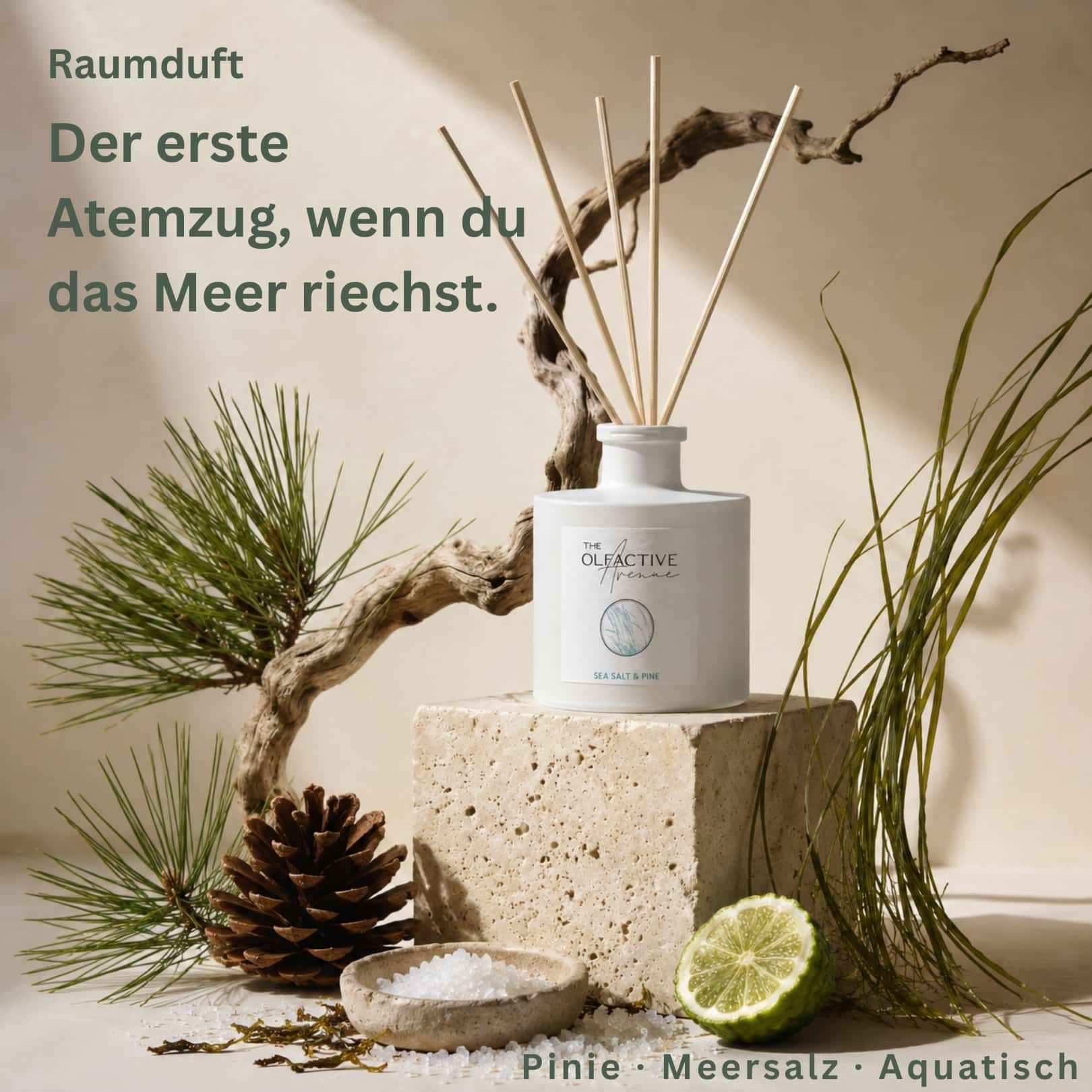 Raumduft SEA SALT & PINE