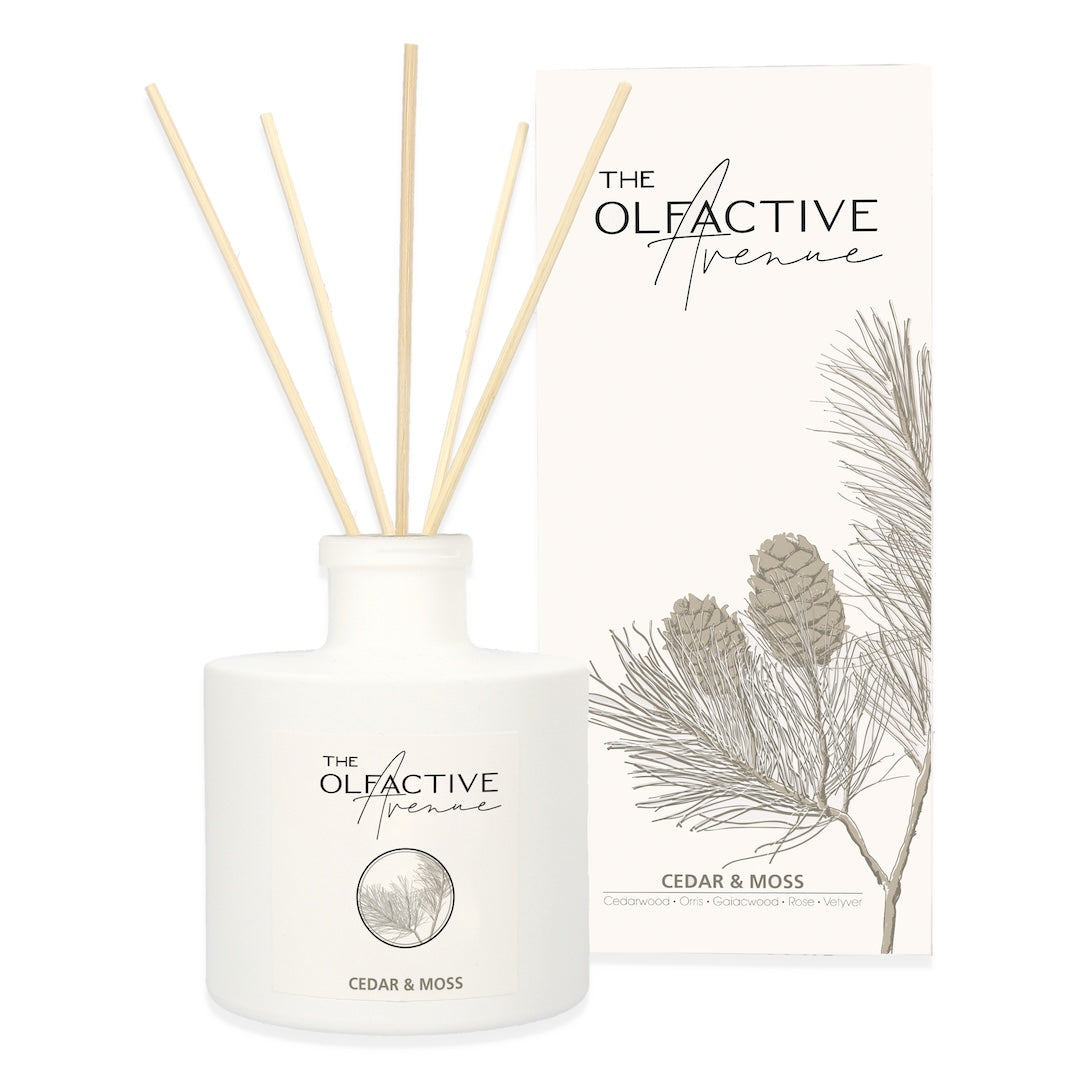 The Olfactive Avenue Raumduft Cedar & Moss – Reed Diffuser im weißen Glas mit Duftstäbchen; Zedernholz, Moos, Vetiver