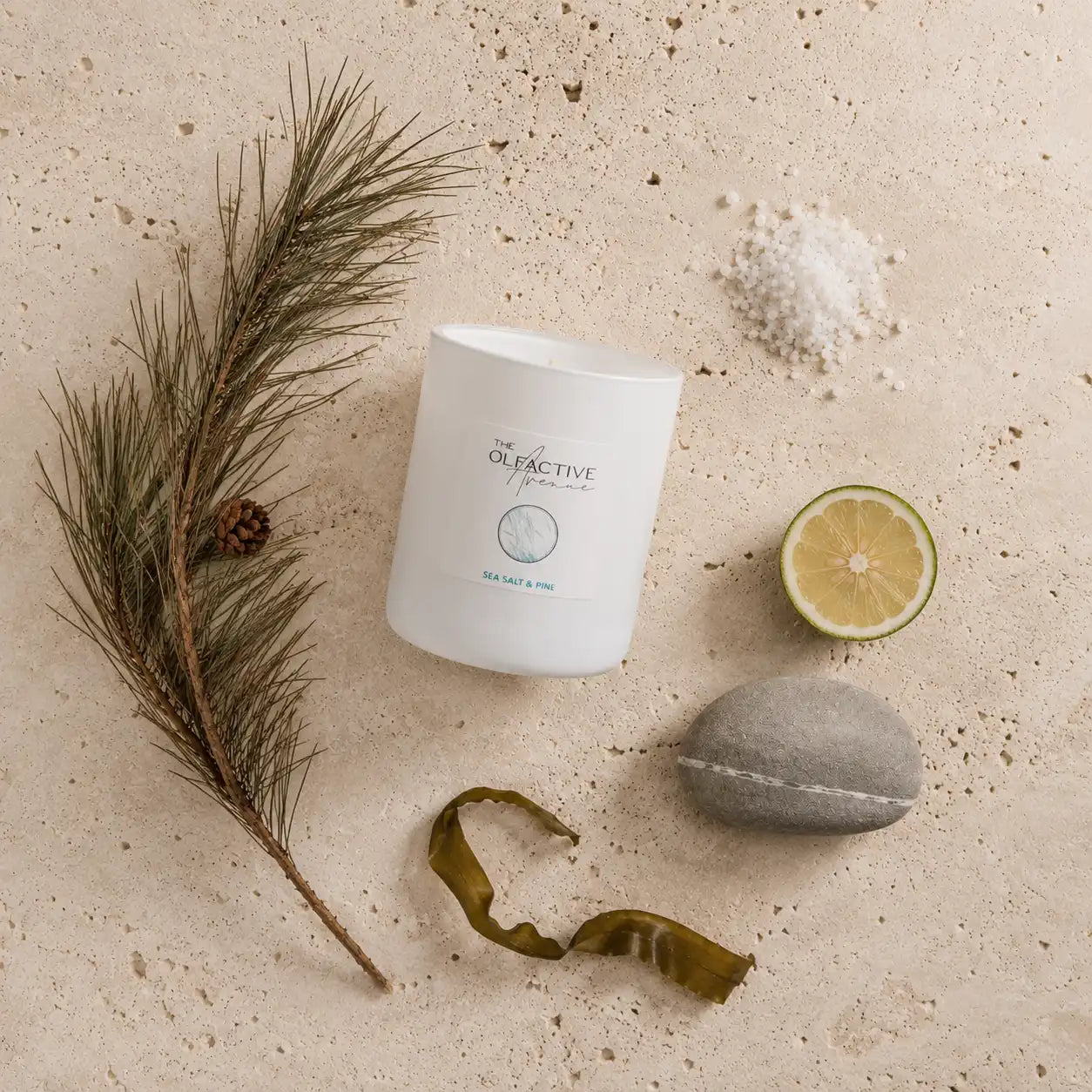 Duftkerze Sea Salt & Pine von The Olfactive Avenue — Flatlay mit Salz, Pinie, Limette und Stein