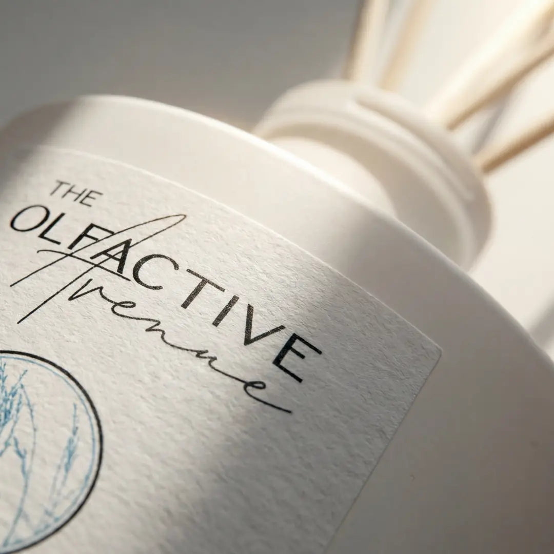 Nahaufnahme des Sea Salt & Pine Raumdiffusers von The Olfactive Avenue mit strukturiertem Etikett und Duftstäbchen