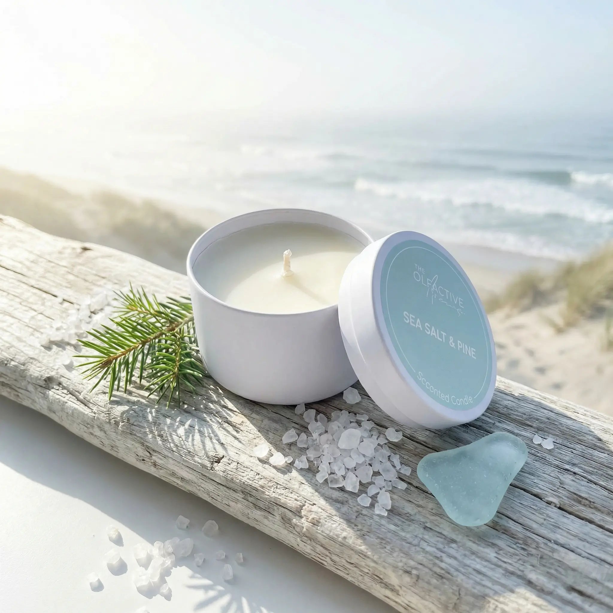 Geöffnete Sea Salt & Pine Travel Candle von Olfactive Avenue auf hellem Treibholz. Im Hintergrund ein sanfter Blick auf den Meereshorizont und Dünen, dekoriert mit frischen Pinienzweigen und groben Meersalzkristallen